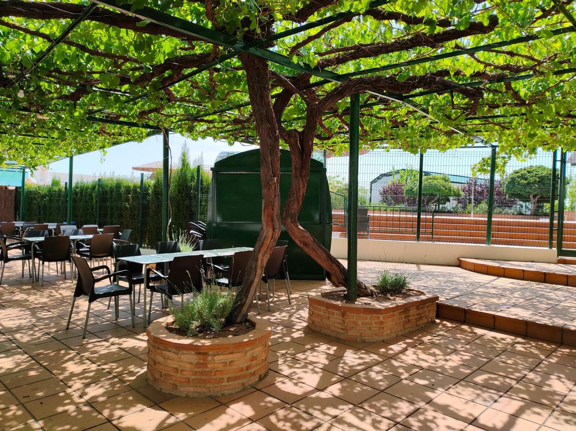 El Molino Hostal-Restaurante Jarafuel 외부 사진
